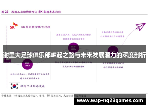 谢里夫足球俱乐部崛起之路与未来发展潜力的深度剖析